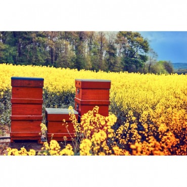 Lasure Gris Sans Solvant, Tullo Galtane, Protection Écologique