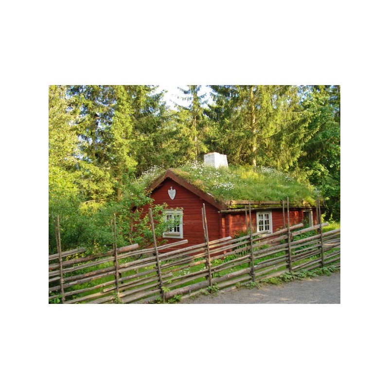 Lasure Gris Sans Solvant, Tullo Galtane, Protection Écologique