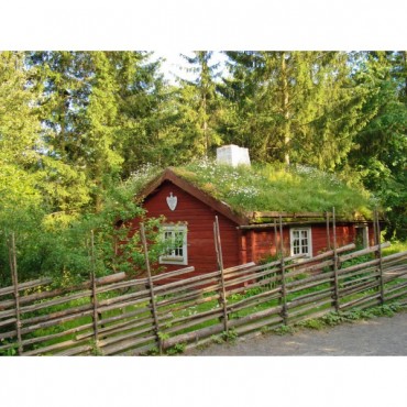 Lasure Mélèze Sans Solvant, Tullo Galtane, Protection Écologique