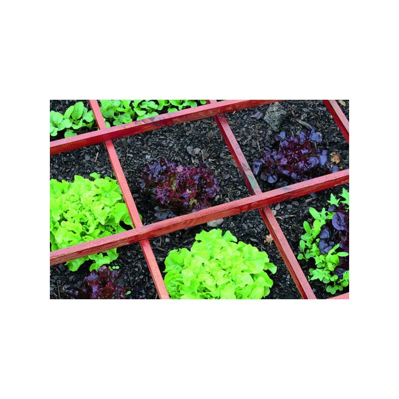 Tanin rouge solution monocouche pour bois extérieur brut jardin palissade...