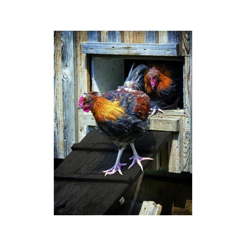 Tanin noir solution monocouche pour bois extérieur brut jardin palissade...