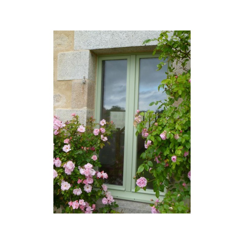 Laque incolore mat Galtane