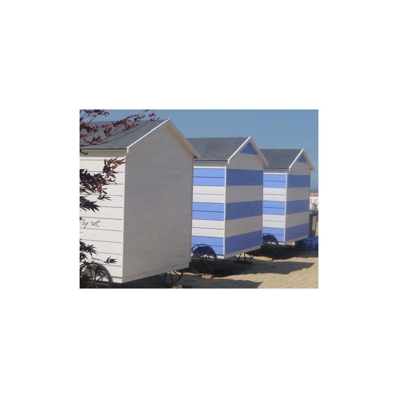 Laque incolore mat Galtane