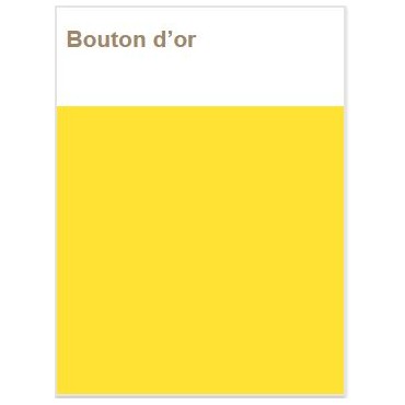 Décojoint Eclat  Bouton d'Or