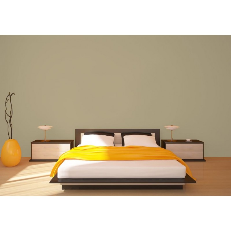 Birds Peinture Murale Mat Lavable Galtane Syl In chambre