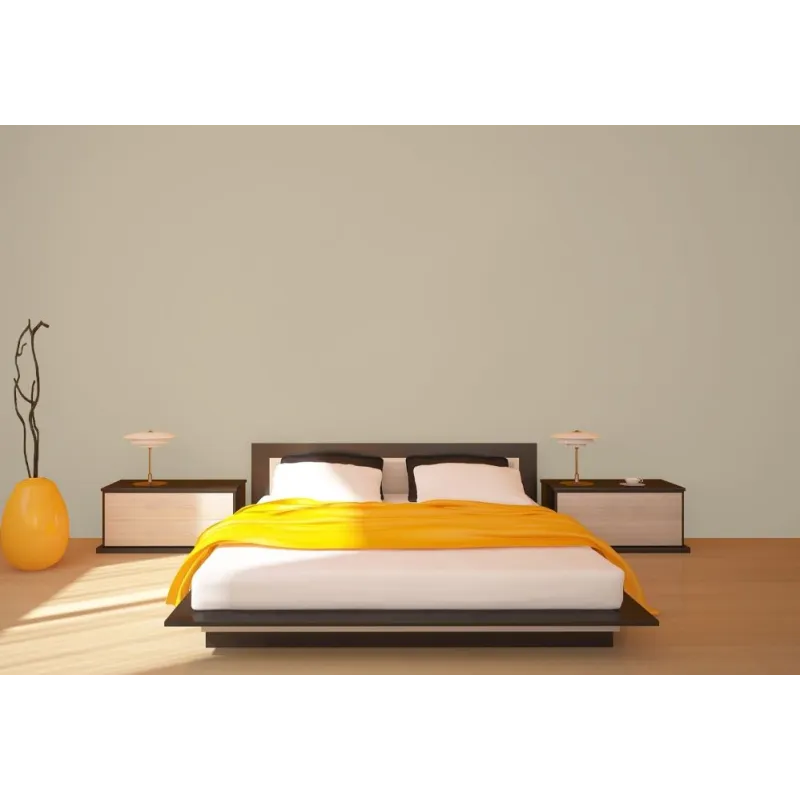 Champignon Peinture Murale Mat Lavable écologique naturelle biosourcée Galtane Syl In chambre