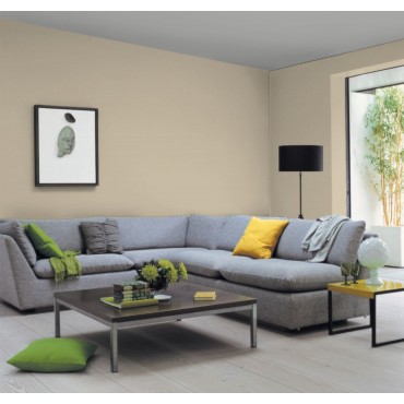 Champignon Peinture Murale Mat Lavable écologique naturelle biosourcée Galtane Syl In salon séjour salle à manger