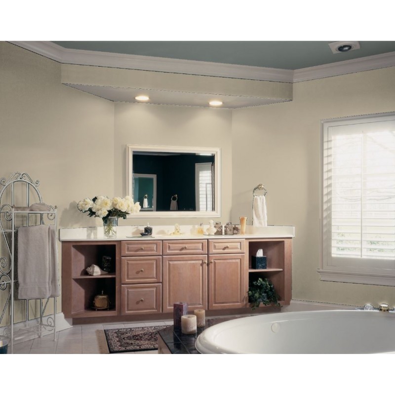 Champignon Peinture Murale Mat Lavable écologique naturelle biosourcée Galtane Syl In salle de bain