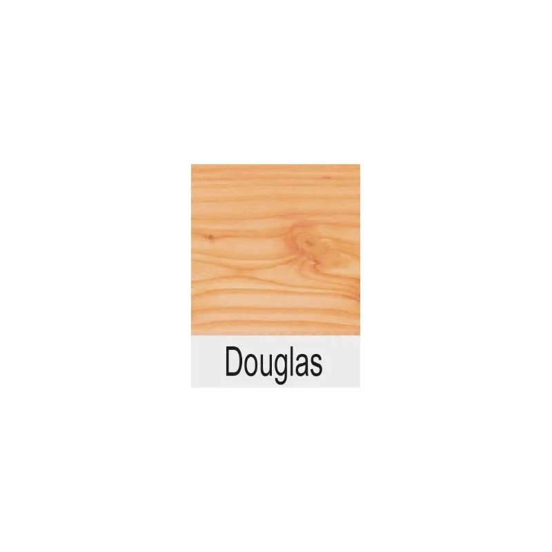 SATURABOIS DOUGLAS Protection bois Extérieur de RUBIO
