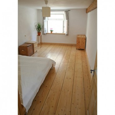 HM1 Traitement écologique anti parasites du bois contre les vrillettes pour meubles et parquets