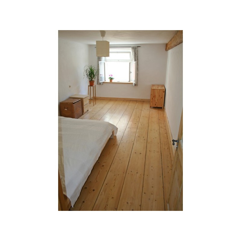 HM1 Traitement écologique anti parasites du bois contre les vrillettes pour meubles et parquets