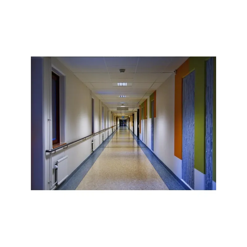 Rose Peinture murale Mat Lavable Galtane Syl In