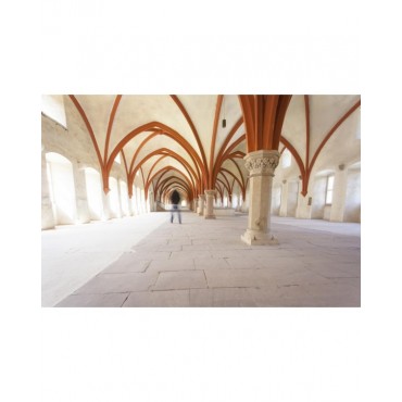 Rose Peinture murale Mat Lavable Galtane Syl In