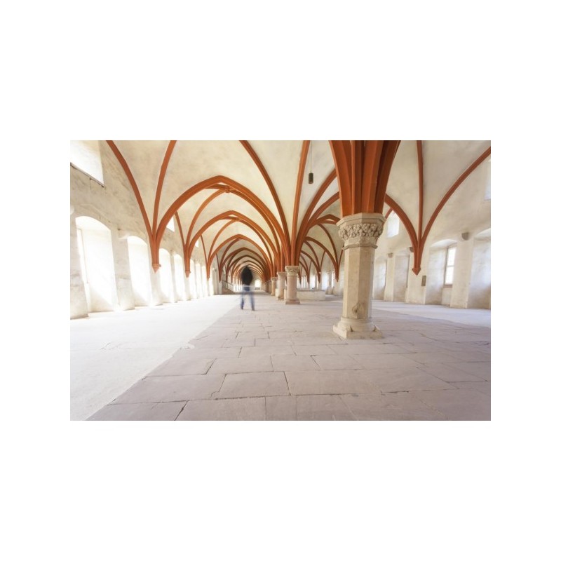 Rose Peinture murale Mat Lavable Galtane Syl In