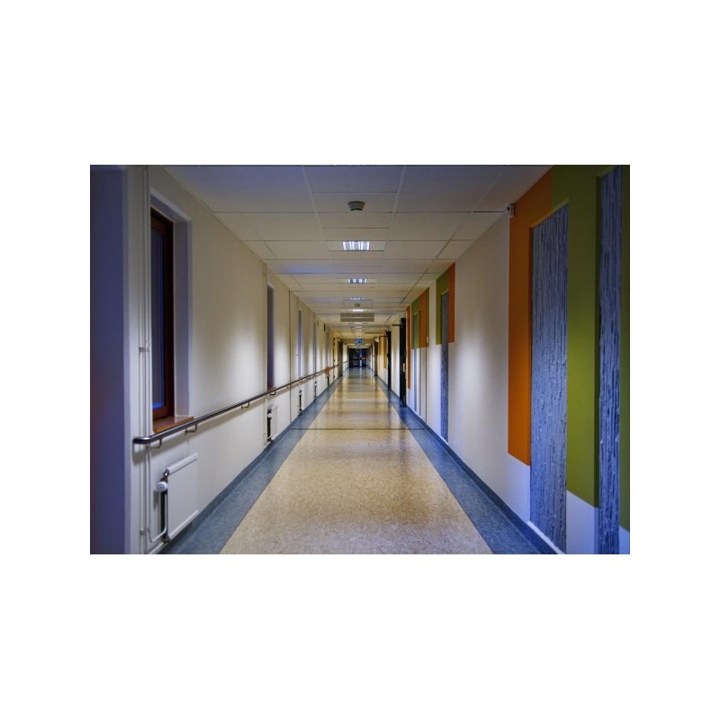 Oxyde Rouge Peinture MUrale Mat Lavable Galtane Syl In