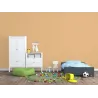 Melon Peinture Murale Mat Lavable Syl in Galtane