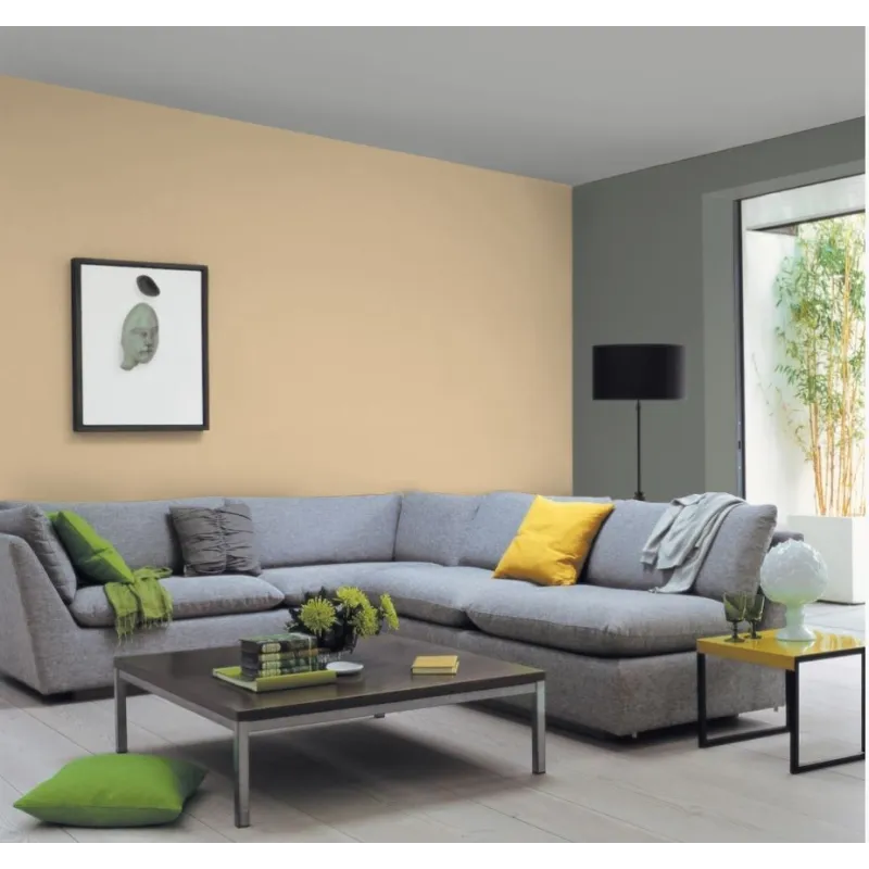 Okree Peinture Murale Mat Lavable Galtane Syl In