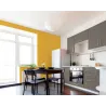 Yulu Peinture murale écologique naturelle Mat Lavable Galtane Syl In