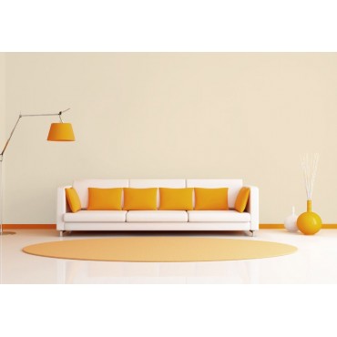 Peinture intérieure naturelle écologique biosourcée murale, intérieur salon séjour salle à manger