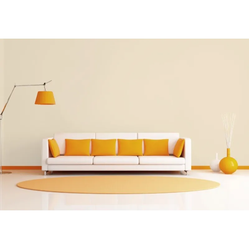 Peinture intérieure naturelle écologique biosourcée murale, intérieur salon séjour salle à manger