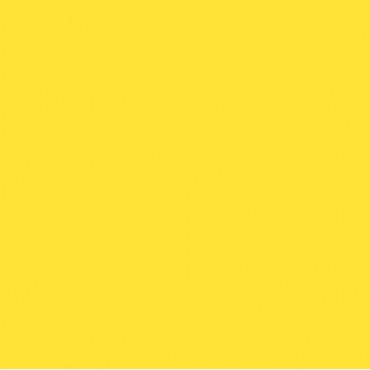 Décojoint Éclat Bouton d'Or Joint coloré pour carrelage