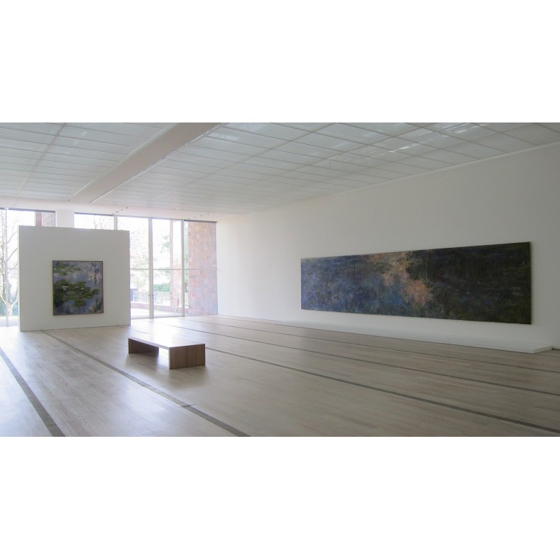 Super White (blanc cérusé) Oil+2C Rubio Monocoat Oil+2C