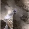 Assécheurs d'air - siphon atmosphérique