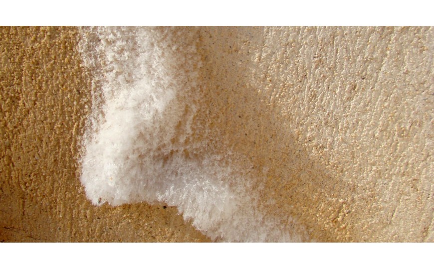 Salpêtre sur les murs : causes, dangers et solutions durables